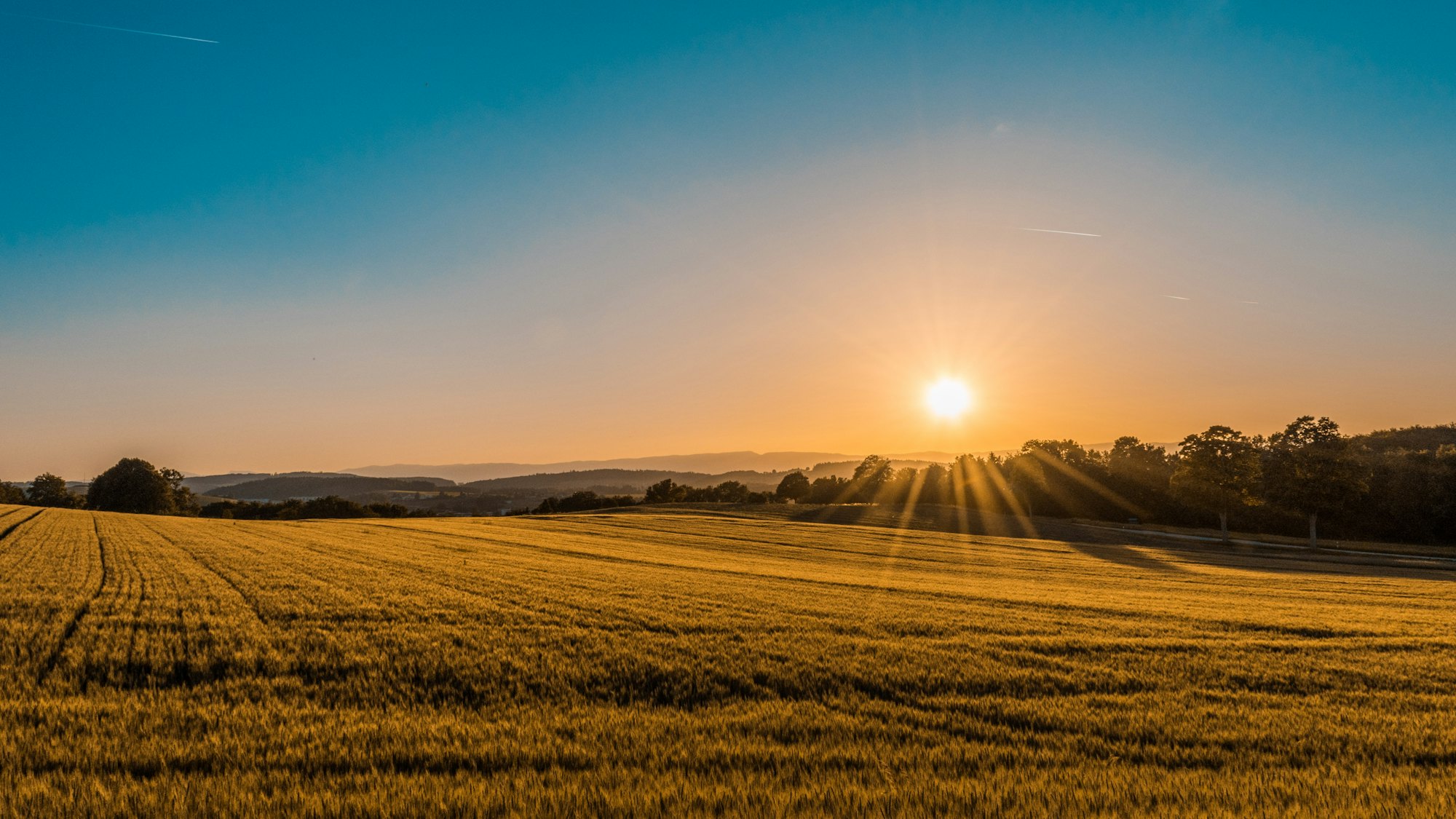The English countryside at golden hour